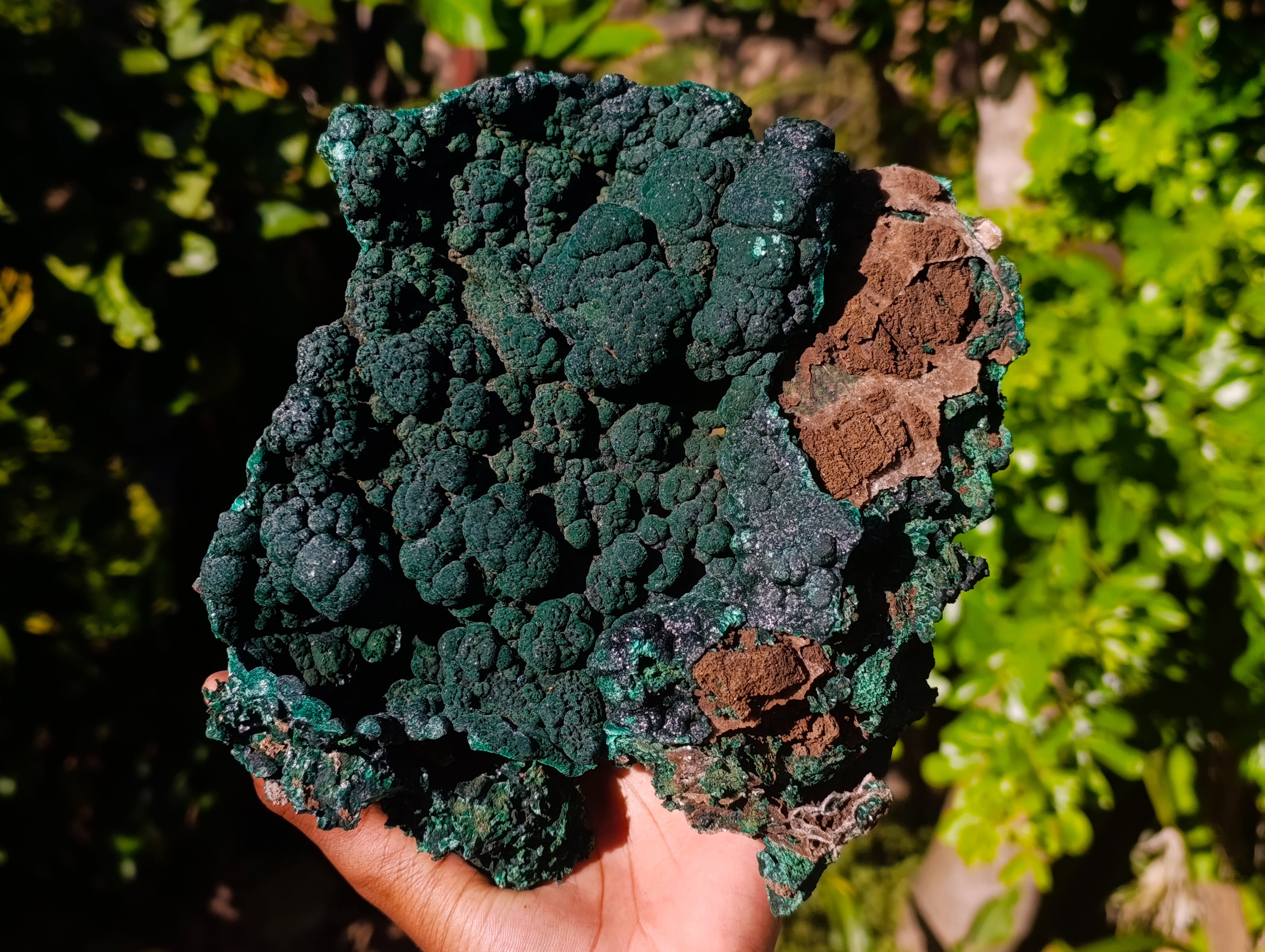 Natural Botryoidal Malachite Specimens x 1 From Tenke Fungurume, Congo - Toprock Gemstones and Minerals 