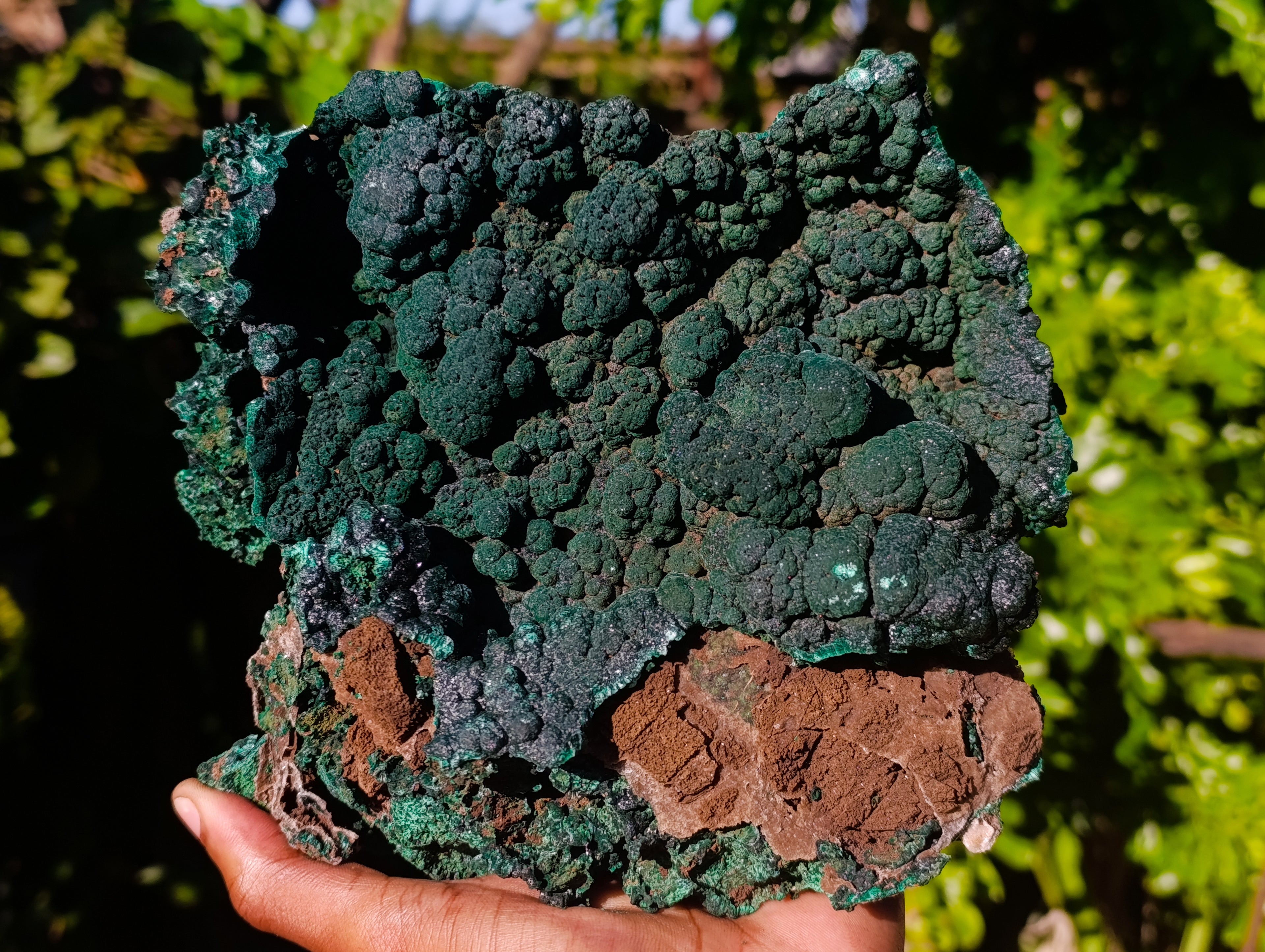 Natural Botryoidal Malachite Specimens x 1 From Tenke Fungurume, Congo - Toprock Gemstones and Minerals 
