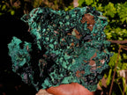 Natural Botryoidal Malachite Specimens x 1 From Tenke Fungurume, Congo - Toprock Gemstones and Minerals 