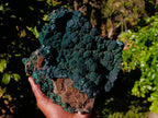 Natural Botryoidal Malachite Specimens x 1 From Tenke Fungurume, Congo - Toprock Gemstones and Minerals 