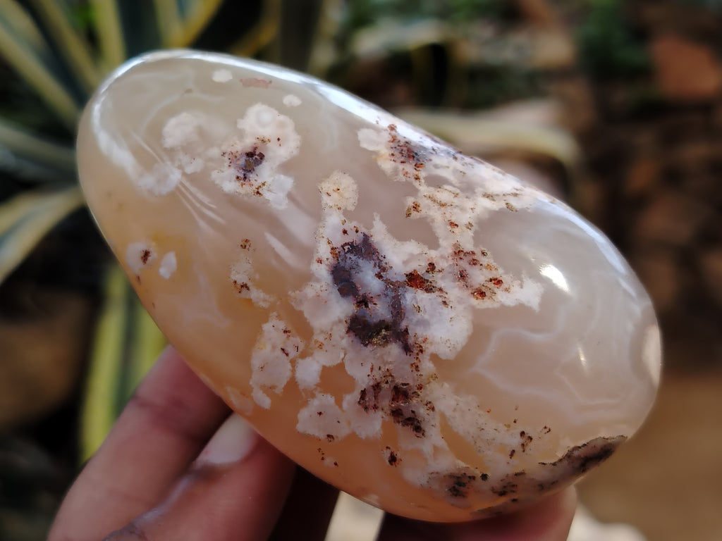 Polished Flower Agate Palm Stones x 12 From Madagascar - Toprock Gemstones and Minerals 