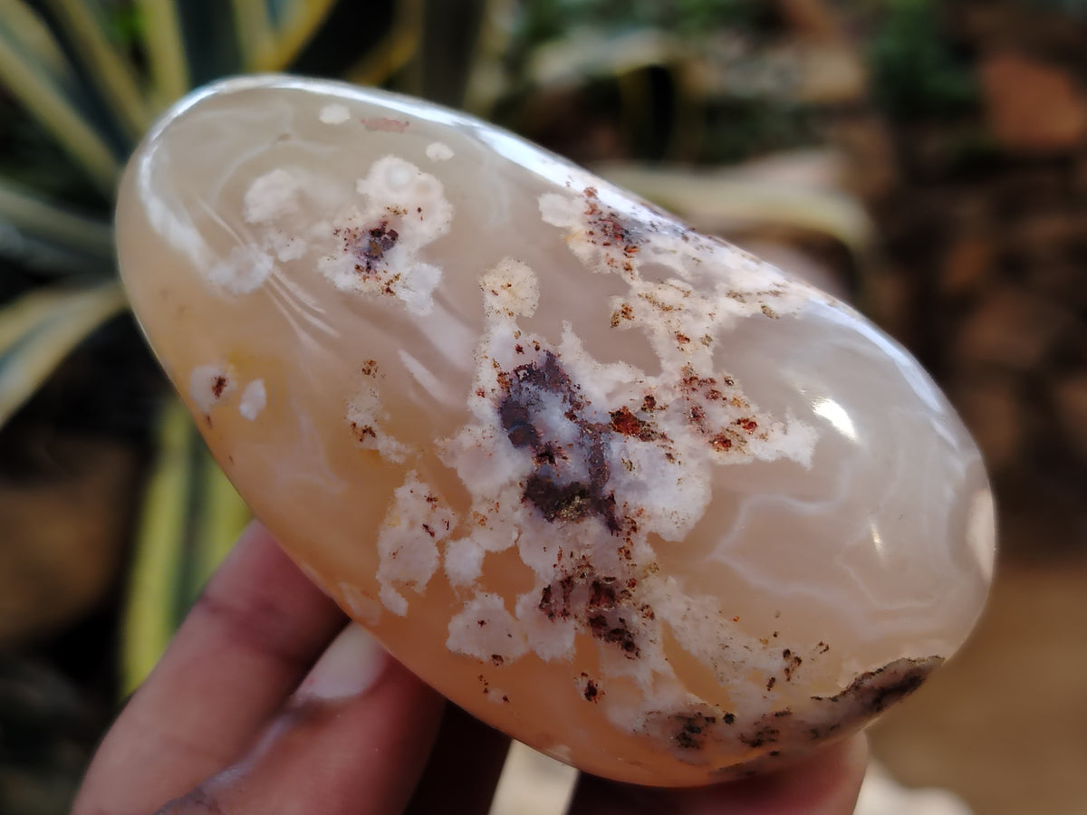 Polished Flower Agate Palm Stones x 12 From Madagascar - Toprock Gemstones and Minerals 