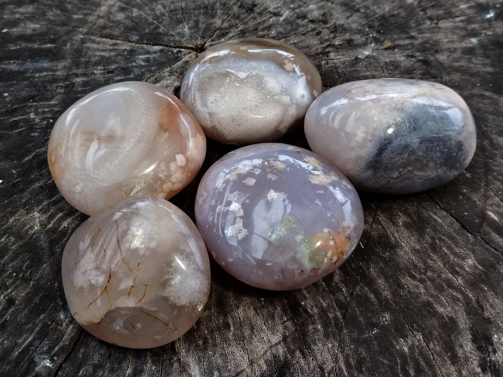 Polished Flower Agate Palm Stones x 12 From Madagascar - Toprock Gemstones and Minerals 