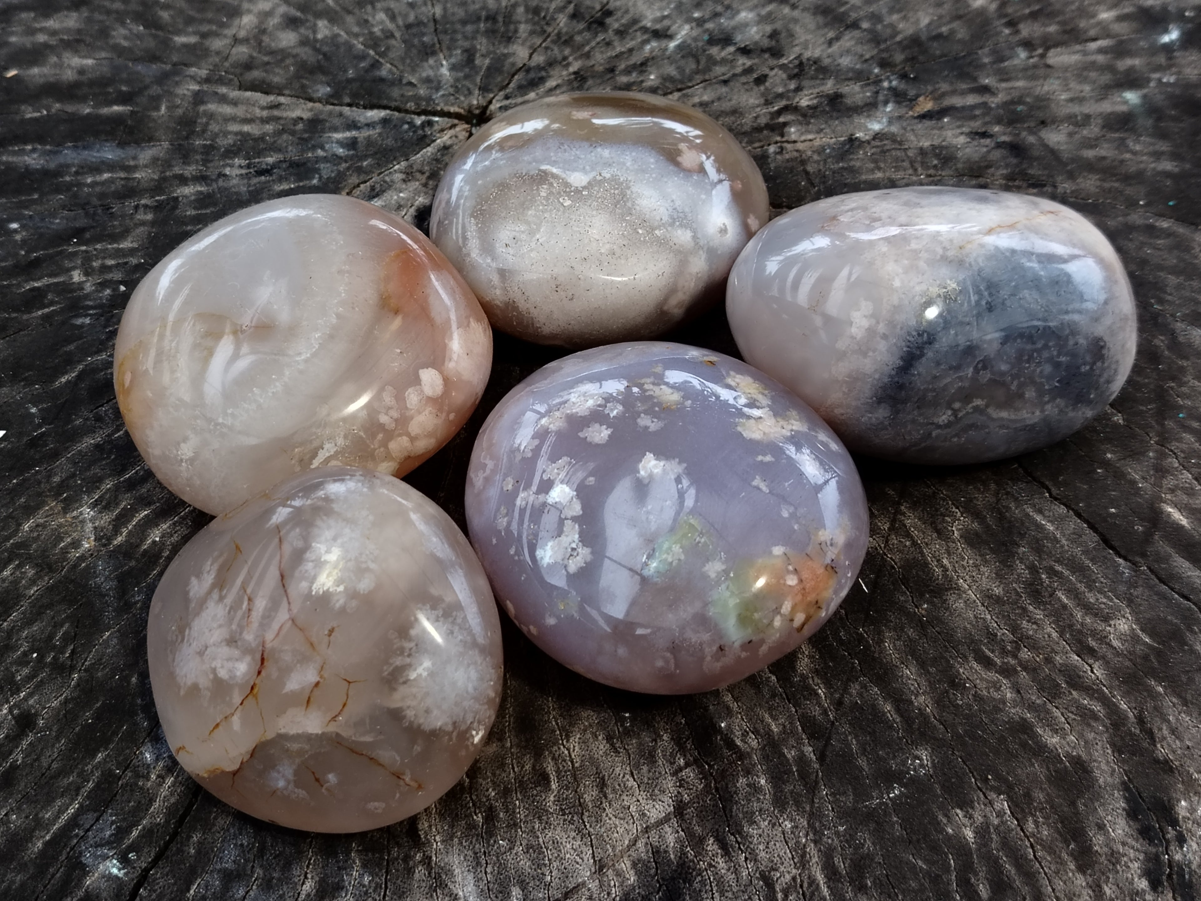 Polished Flower Agate Palm Stones x 12 From Madagascar - Toprock Gemstones and Minerals 