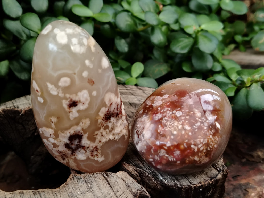 Polished Flower Agate Palm Stones x 12 From Madagascar - Toprock Gemstones and Minerals 