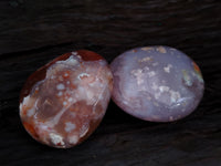 Polished Flower Agate Palm Stones x 12 From Madagascar - Toprock Gemstones and Minerals 