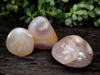 Polished Flower Agate Palm Stones x 12 From Madagascar - Toprock Gemstones and Minerals 