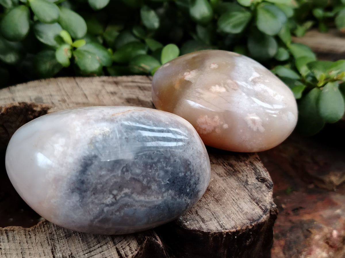 Polished Flower Agate Palm Stones x 12 From Madagascar - Toprock Gemstones and Minerals 