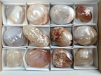 Polished Flower Agate Palm Stones x 12 From Madagascar - Toprock Gemstones and Minerals 