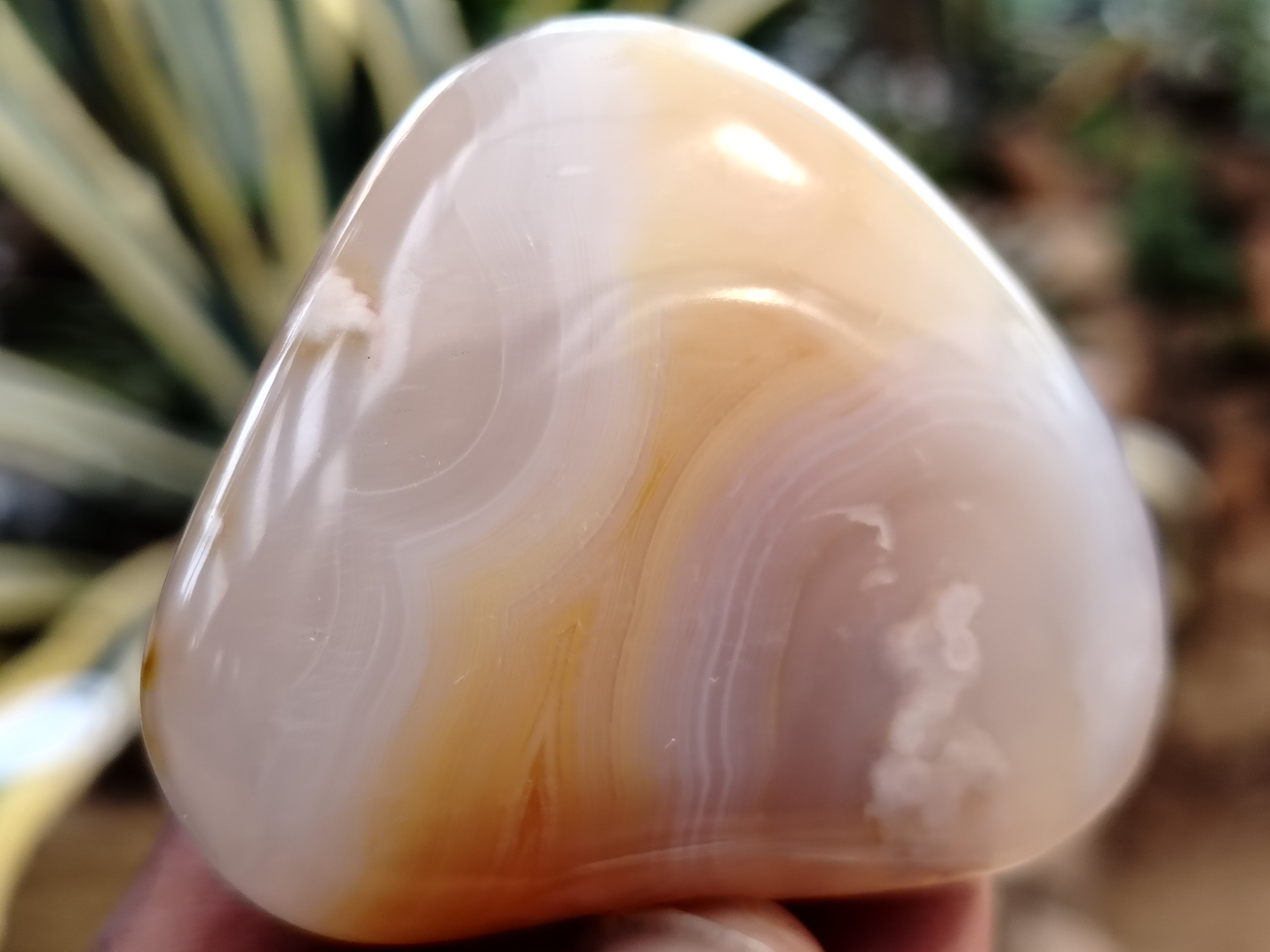 Polished Flower Agate Palm Stones x 12 From Madagascar - Toprock Gemstones and Minerals 