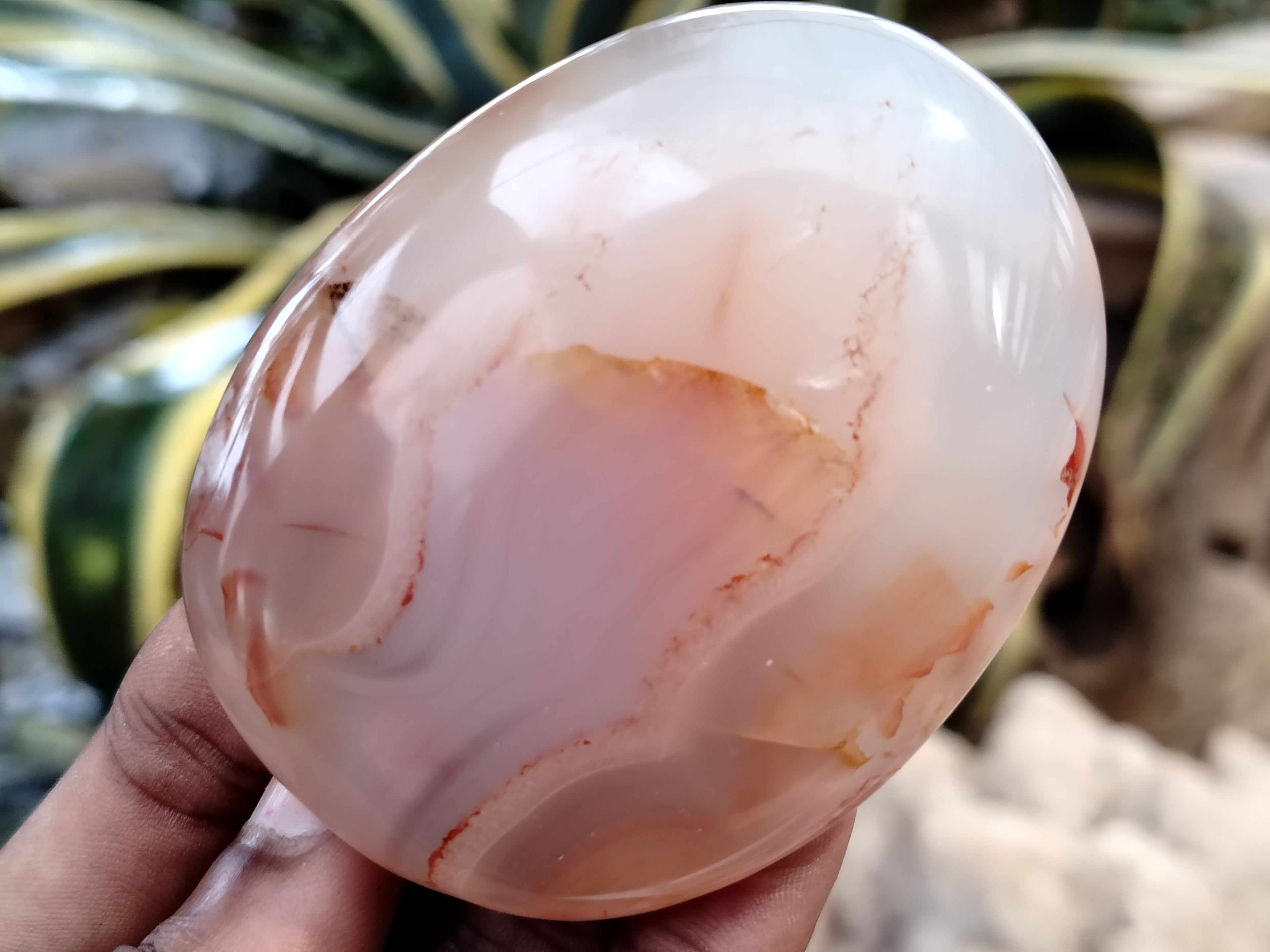 Polished Flower Agate Palm Stones x 12 From Madagascar - Toprock Gemstones and Minerals 