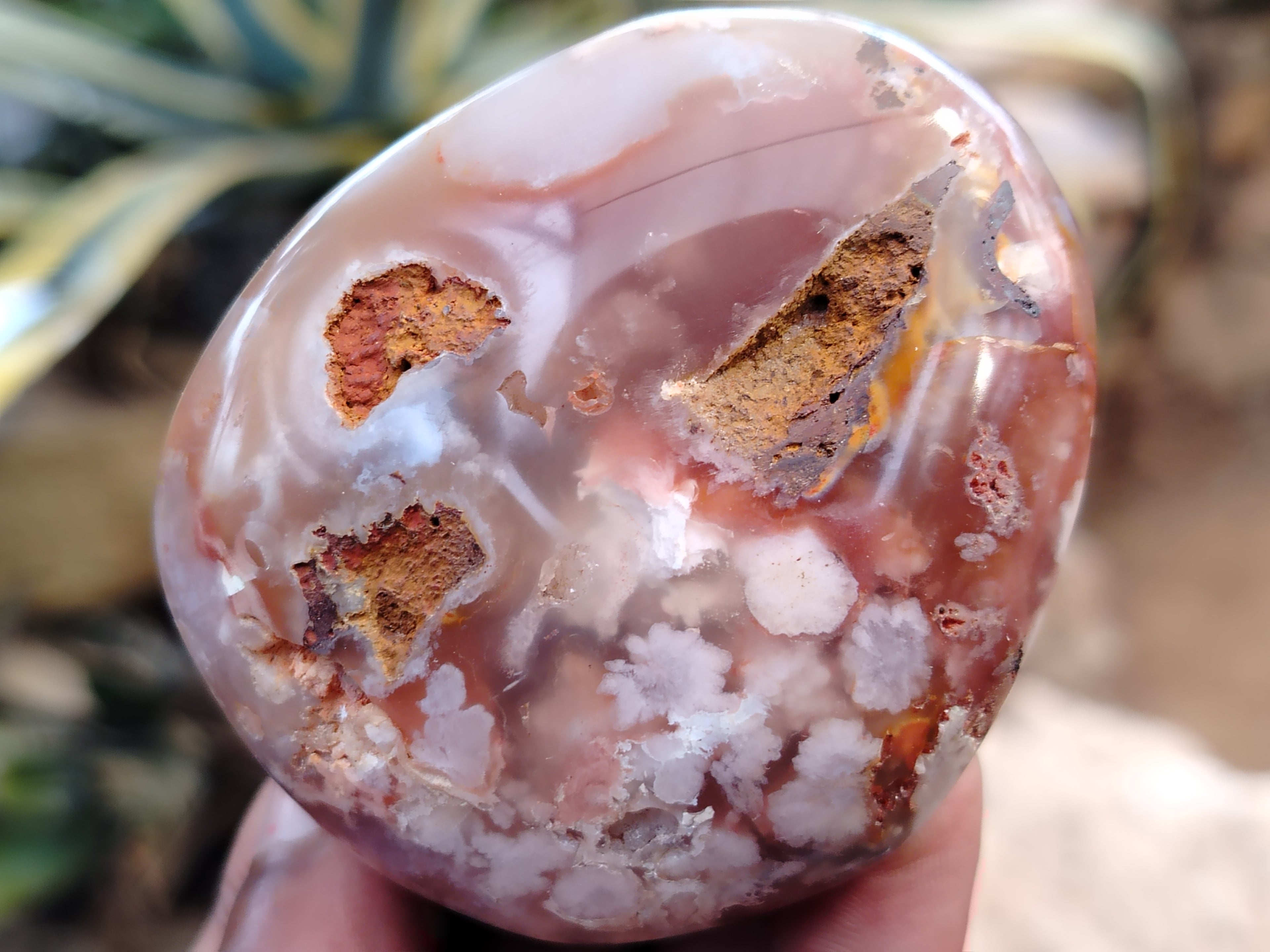 Polished Flower Agate Palm Stones x 12 From Madagascar - Toprock Gemstones and Minerals 