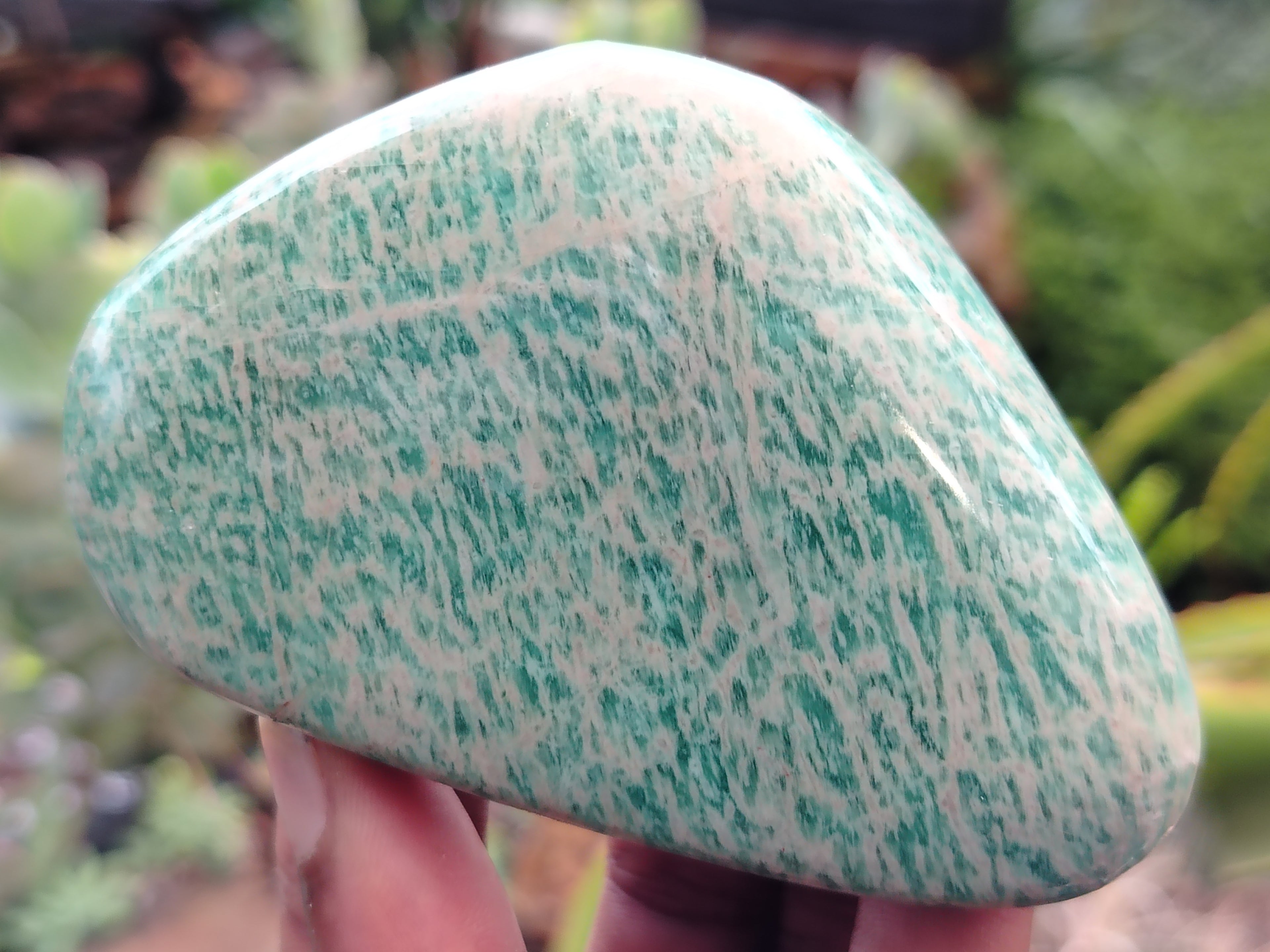 Polished Amazonite Free Forms x 12 From Madagascar - Toprock Gemstones and Minerals 