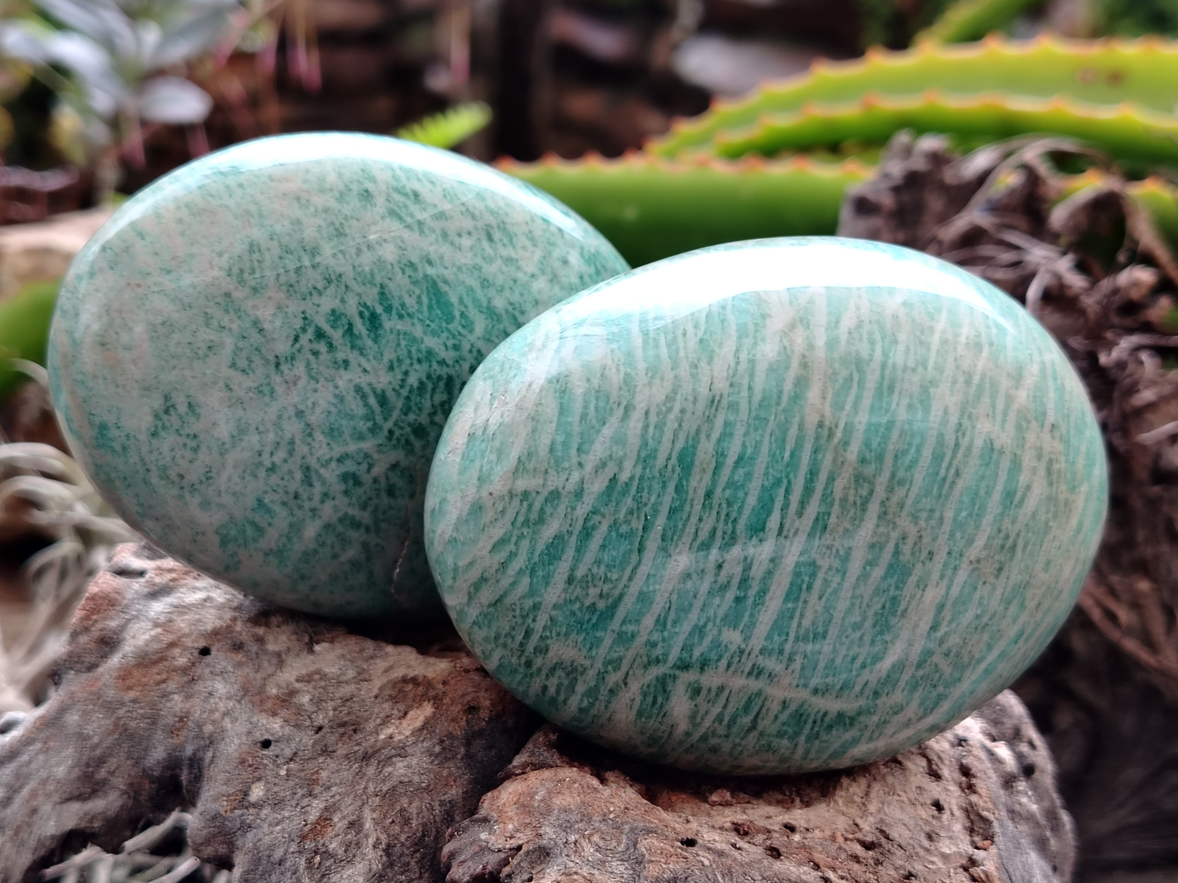 Polished Amazonite Free Forms x 12 From Madagascar - Toprock Gemstones and Minerals 