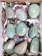 Polished Amazonite Free Forms x 12 From Madagascar - Toprock Gemstones and Minerals 