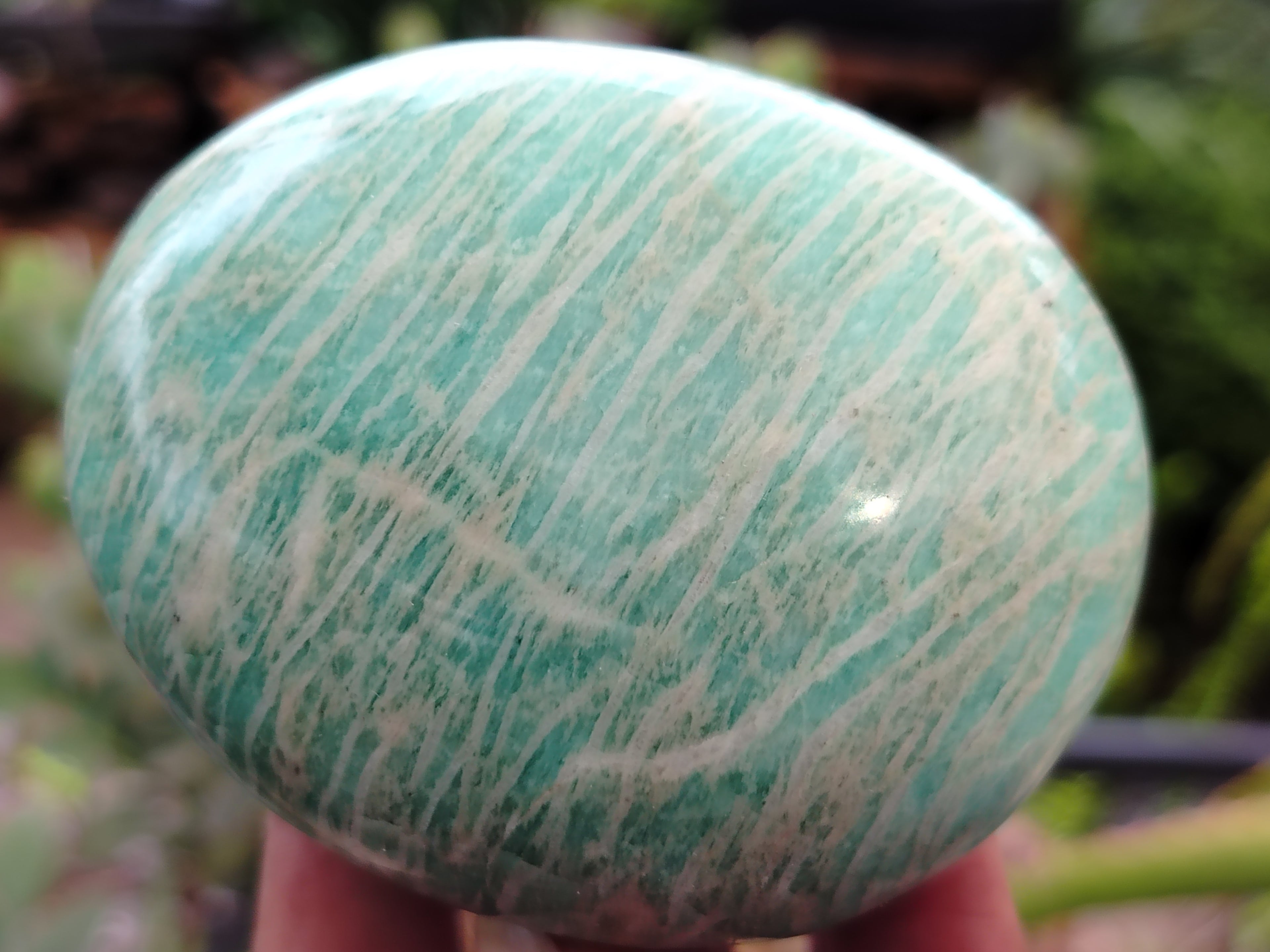 Polished Amazonite Free Forms x 12 From Madagascar - Toprock Gemstones and Minerals 