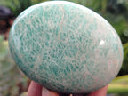 Polished Amazonite Free Forms x 12 From Madagascar - Toprock Gemstones and Minerals 