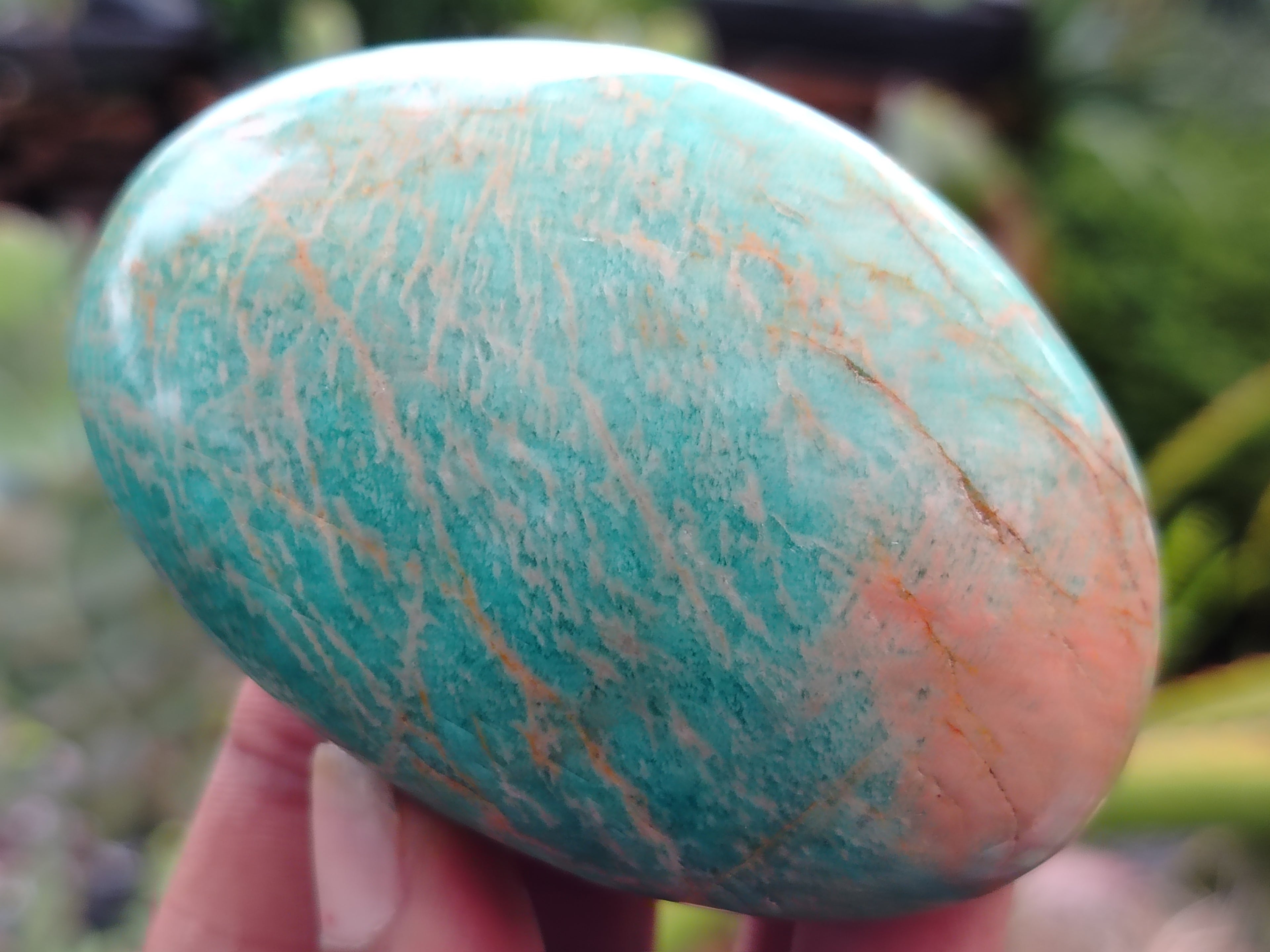 Polished Amazonite Free Forms x 12 From Madagascar - Toprock Gemstones and Minerals 