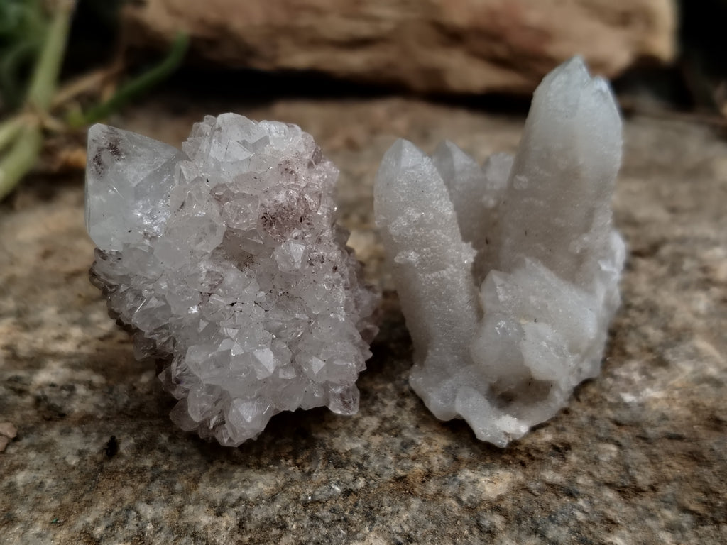 Natural Cactus Flower Spirit Quartz Clusters x 35 From South Africa - Toprock Gemstones and Minerals 