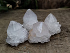 Natural Cactus Flower Spirit Quartz Clusters x 35 From South Africa - Toprock Gemstones and Minerals 