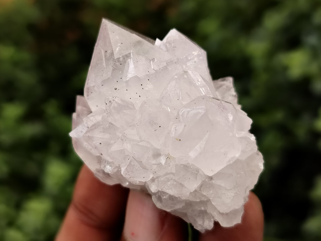 Natural Cactus Flower Spirit Quartz Clusters x 35 From South Africa - Toprock Gemstones and Minerals 