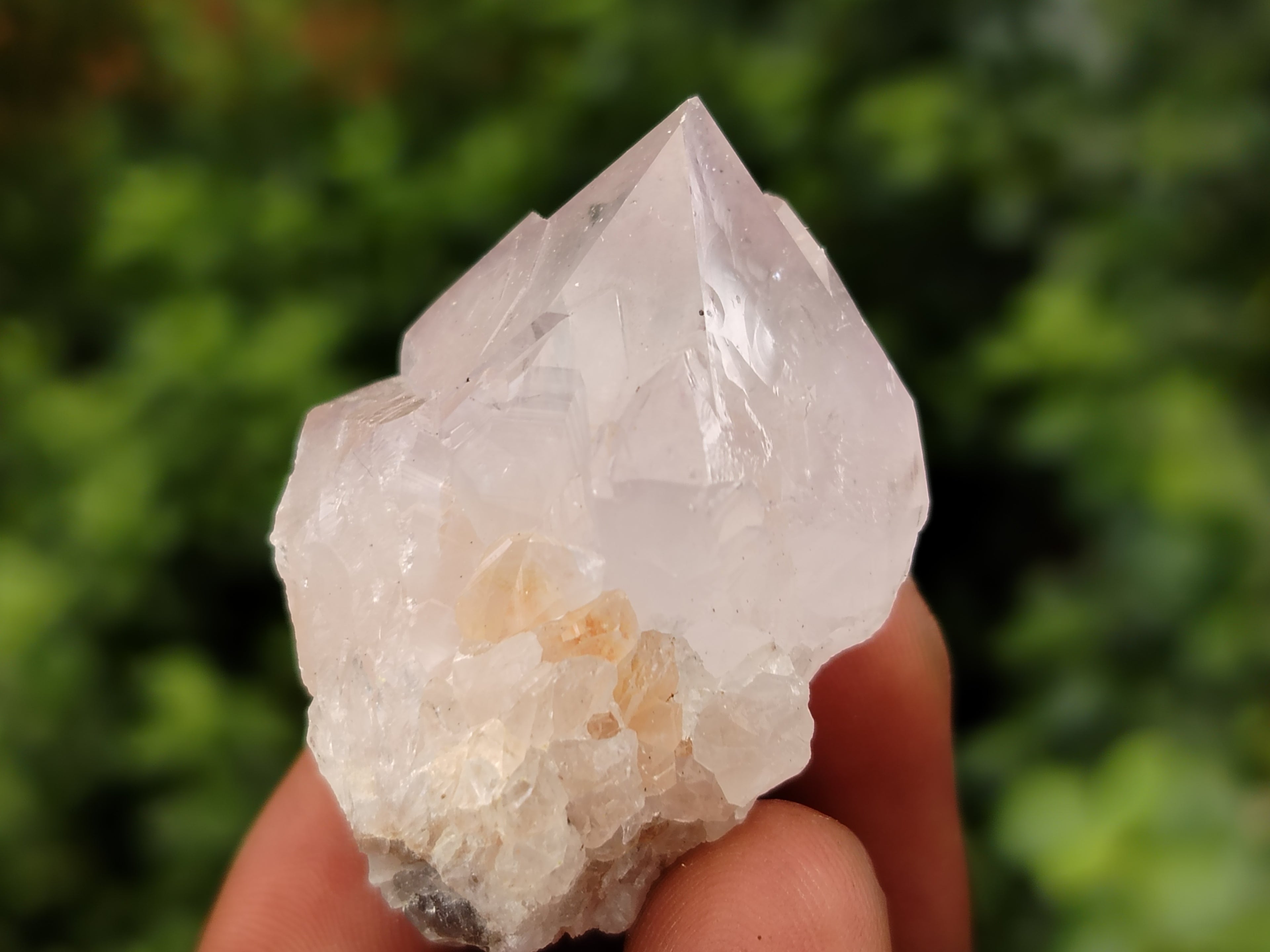 Natural Cactus Flower Spirit Quartz Clusters x 35 From South Africa - Toprock Gemstones and Minerals 