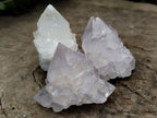 Natural Cactus Flower Spirit Quartz Clusters x 35 From South Africa - Toprock Gemstones and Minerals 