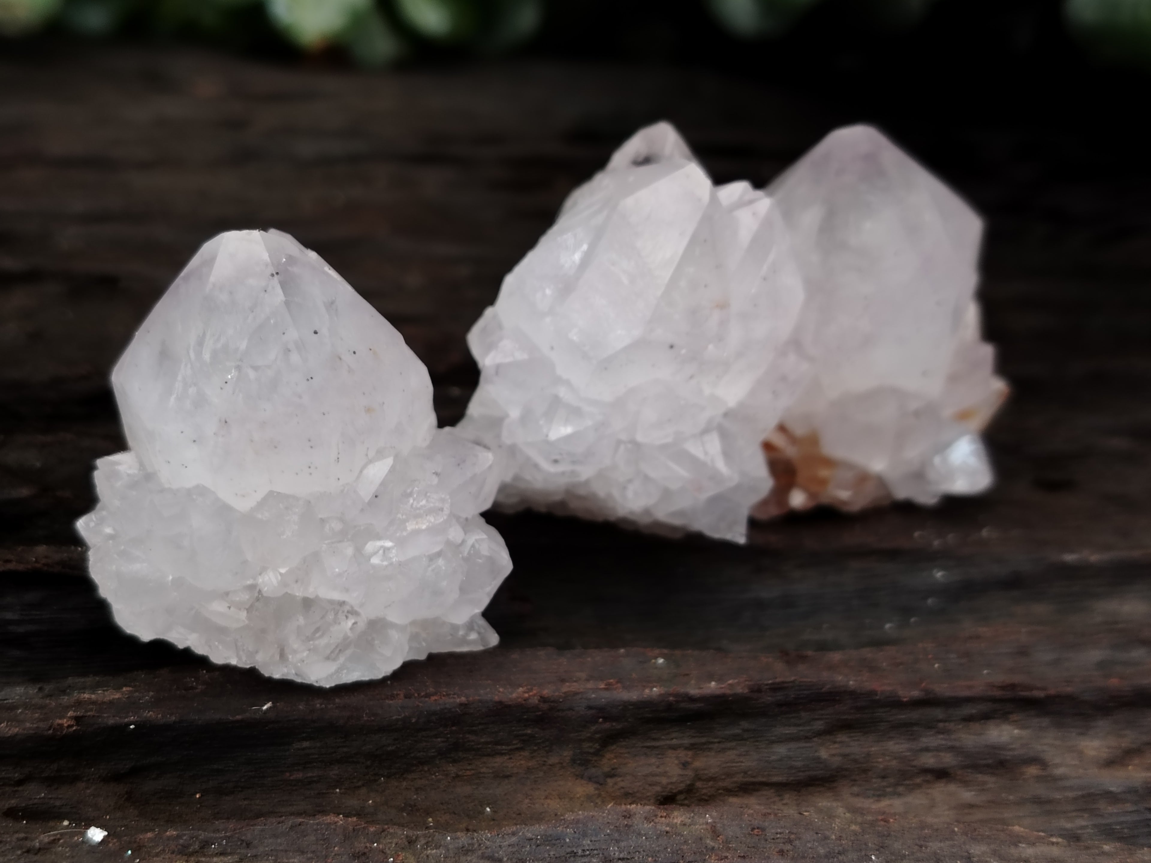 Natural Cactus Flower Spirit Quartz Clusters x 35 From South Africa - Toprock Gemstones and Minerals 
