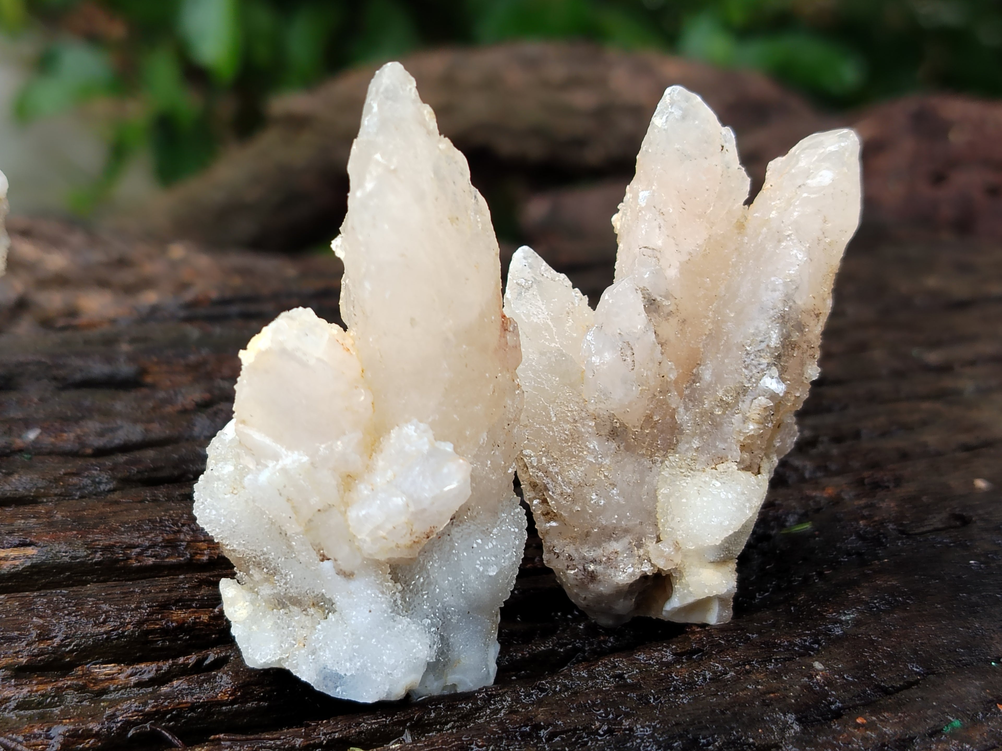 Natural Drusy Quartz Coated Calcite Pseudomorph Specimens x 24 From Alberts Mountain, Lesotho - Toprock Gemstones and Minerals 