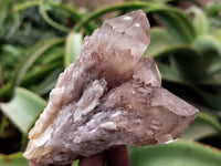 Natural Smokey Phantom Quartz Clusters x 6 From Luena, Congo - Toprock Gemstones and Minerals 
