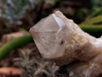 Natural Smokey Phantom Quartz Clusters x 6 From Luena, Congo - Toprock Gemstones and Minerals 