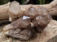 Natural Smokey Phantom Quartz Clusters x 6 From Luena, Congo - Toprock Gemstones and Minerals 