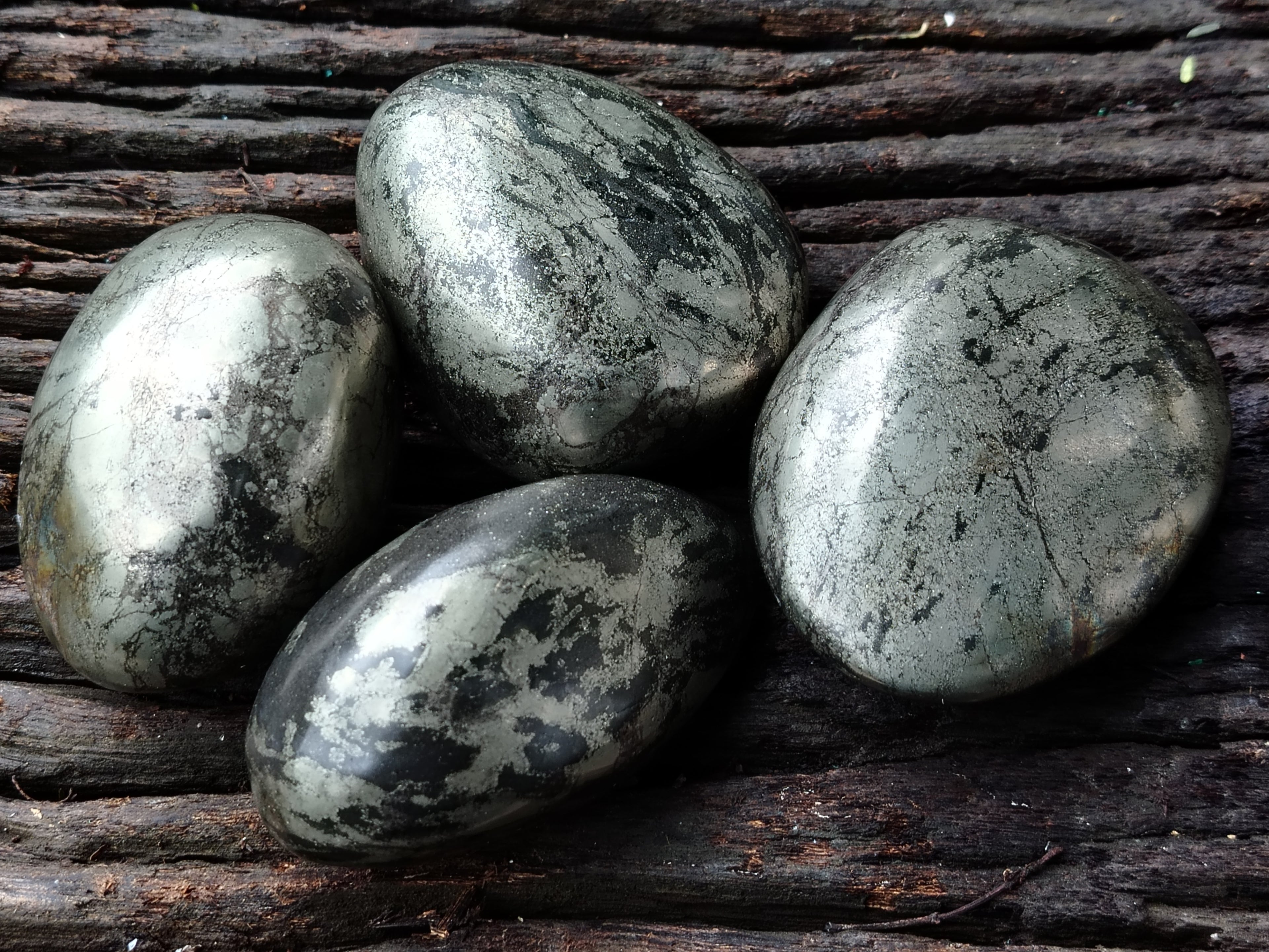 Polished Pharaoh Stone Free Forms x 4 From Zimbabwe - Toprock Gemstones and Minerals 