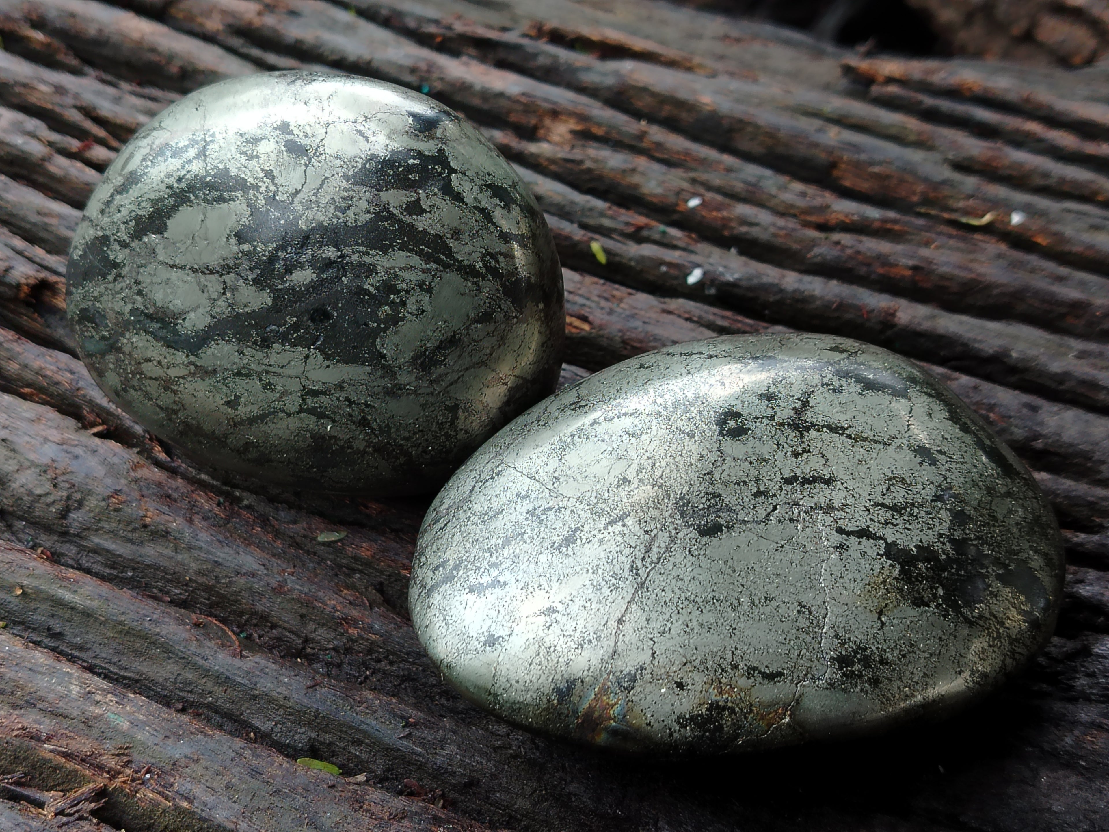 Polished Pharaoh Stone Free Forms x 4 From Zimbabwe - Toprock Gemstones and Minerals 