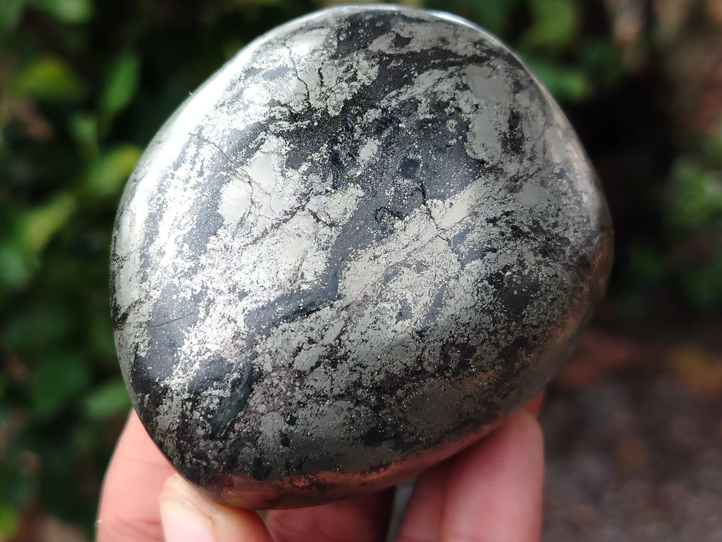 Polished Pharaoh Stone Free Forms x 4 From Zimbabwe - Toprock Gemstones and Minerals 