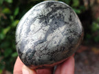 Polished Pharaoh Stone Free Forms x 4 From Zimbabwe - Toprock Gemstones and Minerals 