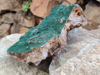 Natural Botryoidal Malachite Specimen x 1 From Congo - Toprock Gemstones and Minerals 