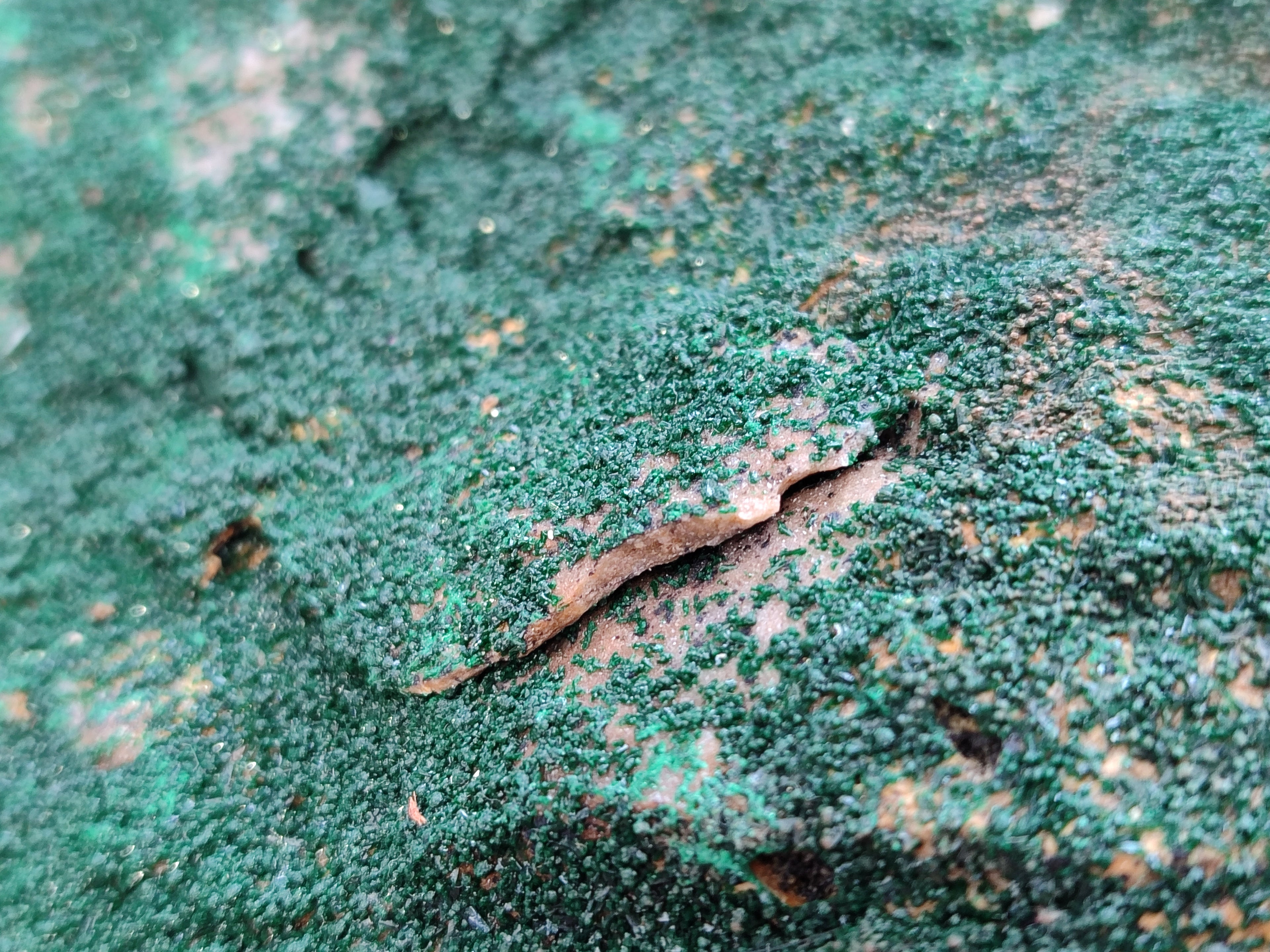 Natural Botryoidal Malachite Specimen x 1 From Congo - Toprock Gemstones and Minerals 