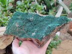 Natural Botryoidal Malachite Specimen x 1 From Congo - Toprock Gemstones and Minerals 