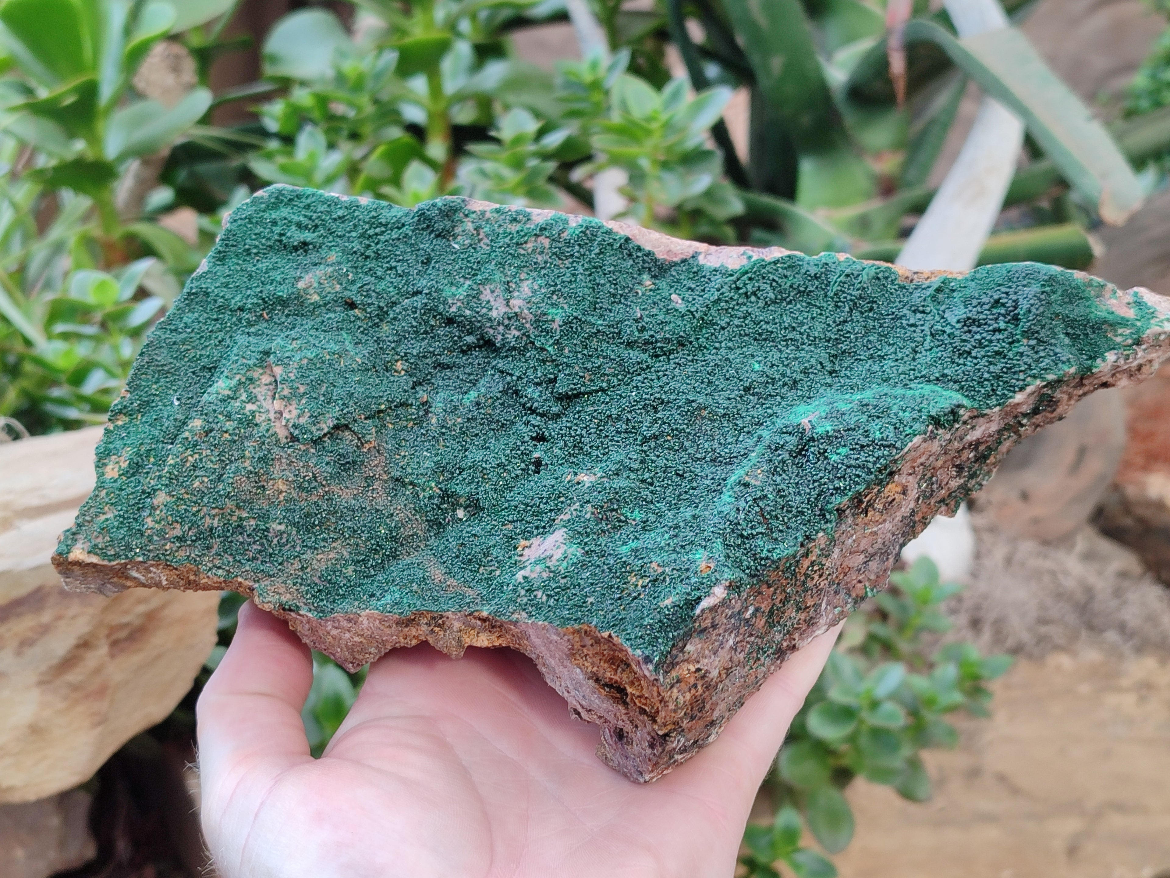 Natural Botryoidal Malachite Specimen x 1 From Congo - Toprock Gemstones and Minerals 