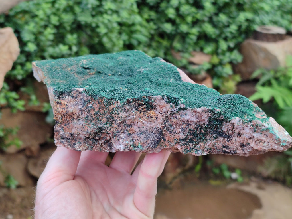 Natural Botryoidal Malachite Specimen x 1 From Congo - Toprock Gemstones and Minerals 