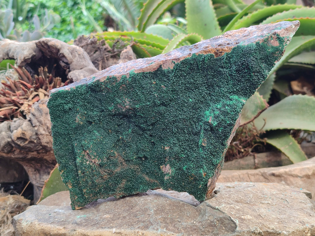 Natural Botryoidal Malachite Specimen x 1 From Congo - Toprock Gemstones and Minerals 