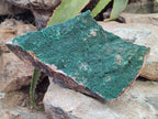 Natural Botryoidal Malachite Specimen x 1 From Congo - Toprock Gemstones and Minerals 