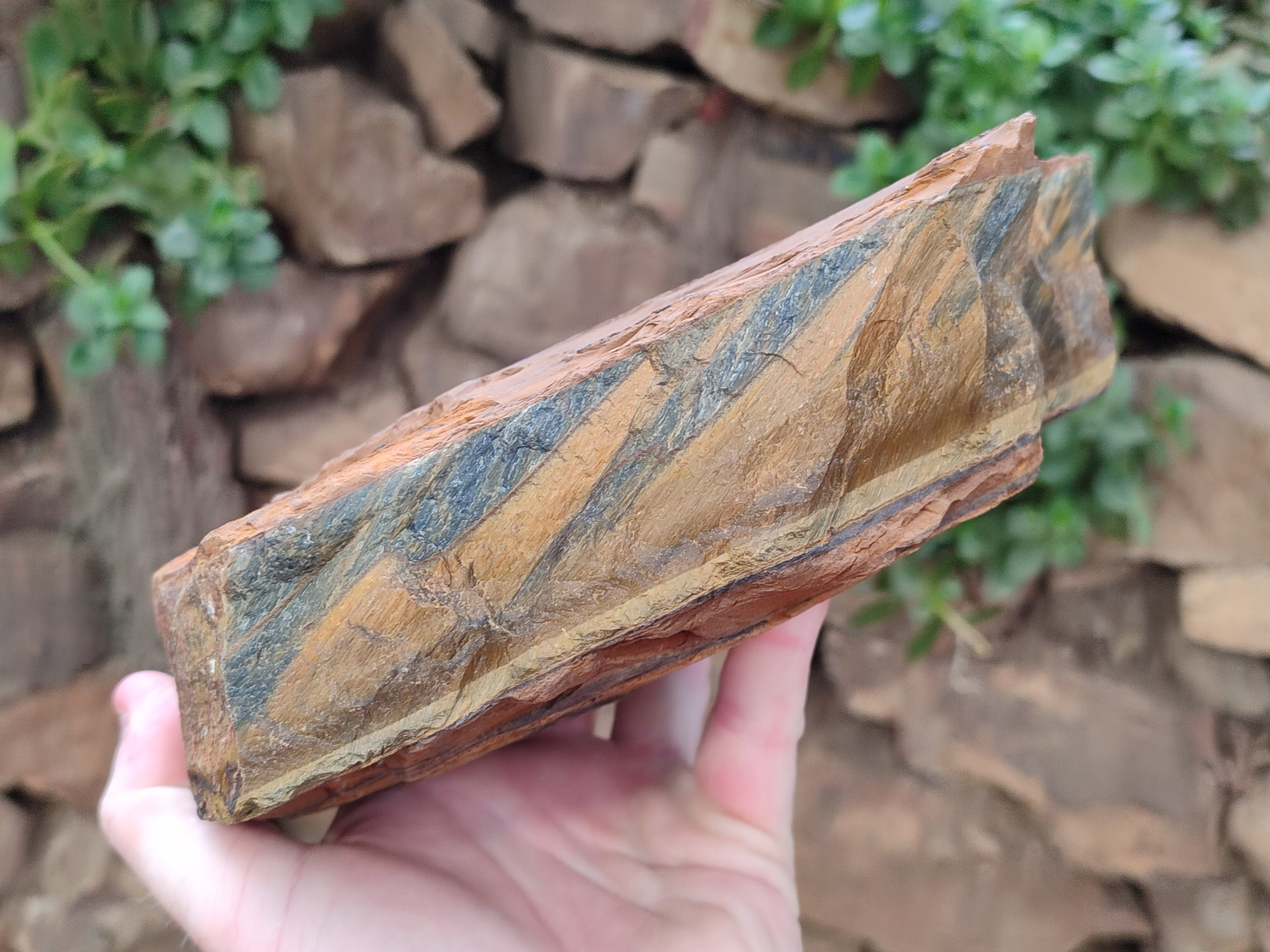 Polished On One Side Tiger's Eye Slabs x 2 From Prieska, South Africa - Toprock Gemstones and Minerals 