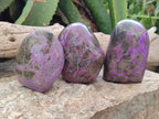 Polished Stichtite Standing Free Forms x 3 From Barberton, South Africa - Toprock Gemstones and Minerals 