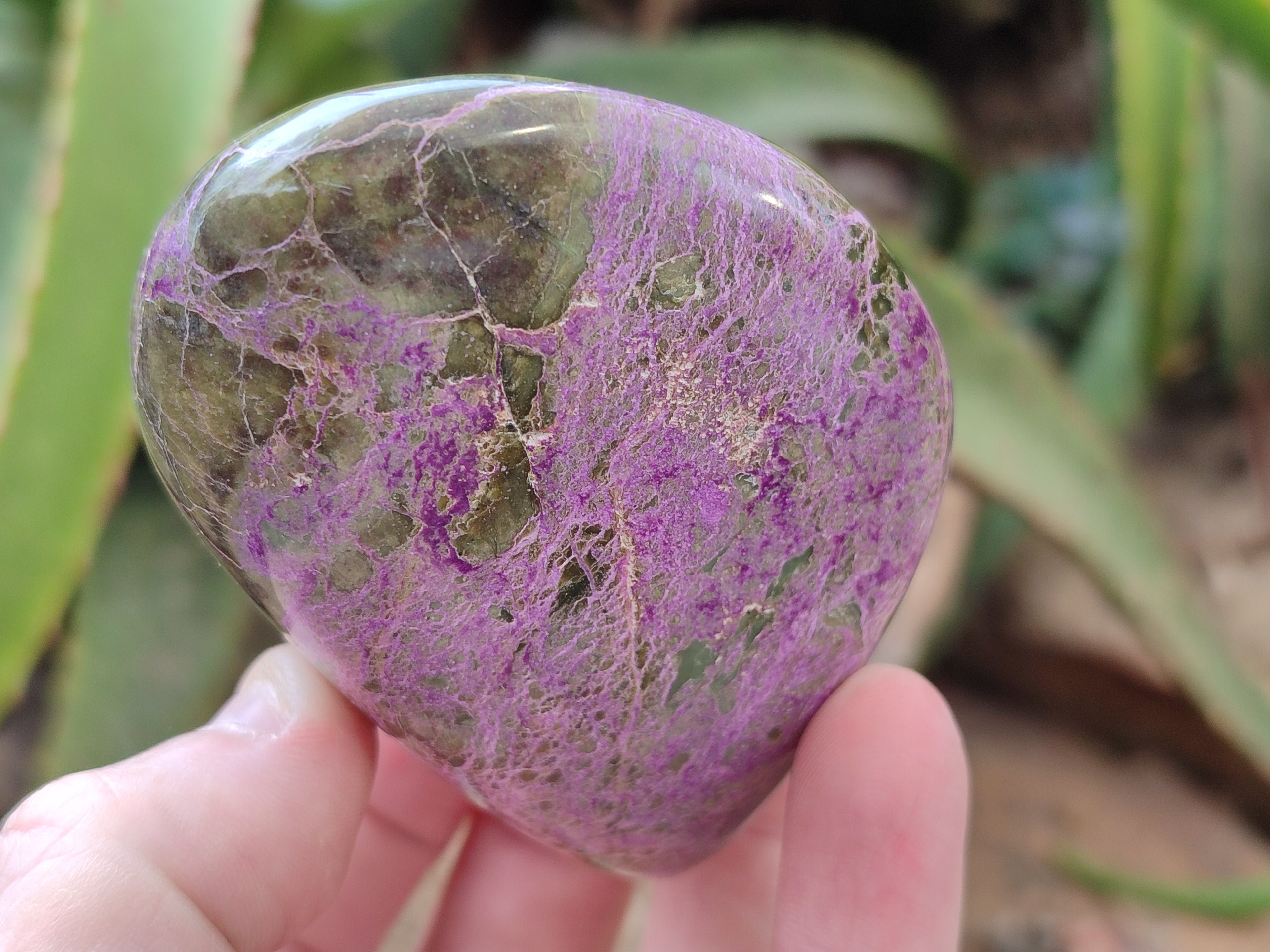 Polished Stichtite Standing Free Forms x 3 From Barberton, South Africa - Toprock Gemstones and Minerals 