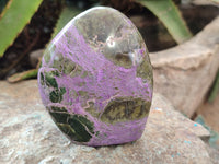 Polished Stichtite Standing Free Forms x 3 From Barberton, South Africa - Toprock Gemstones and Minerals 