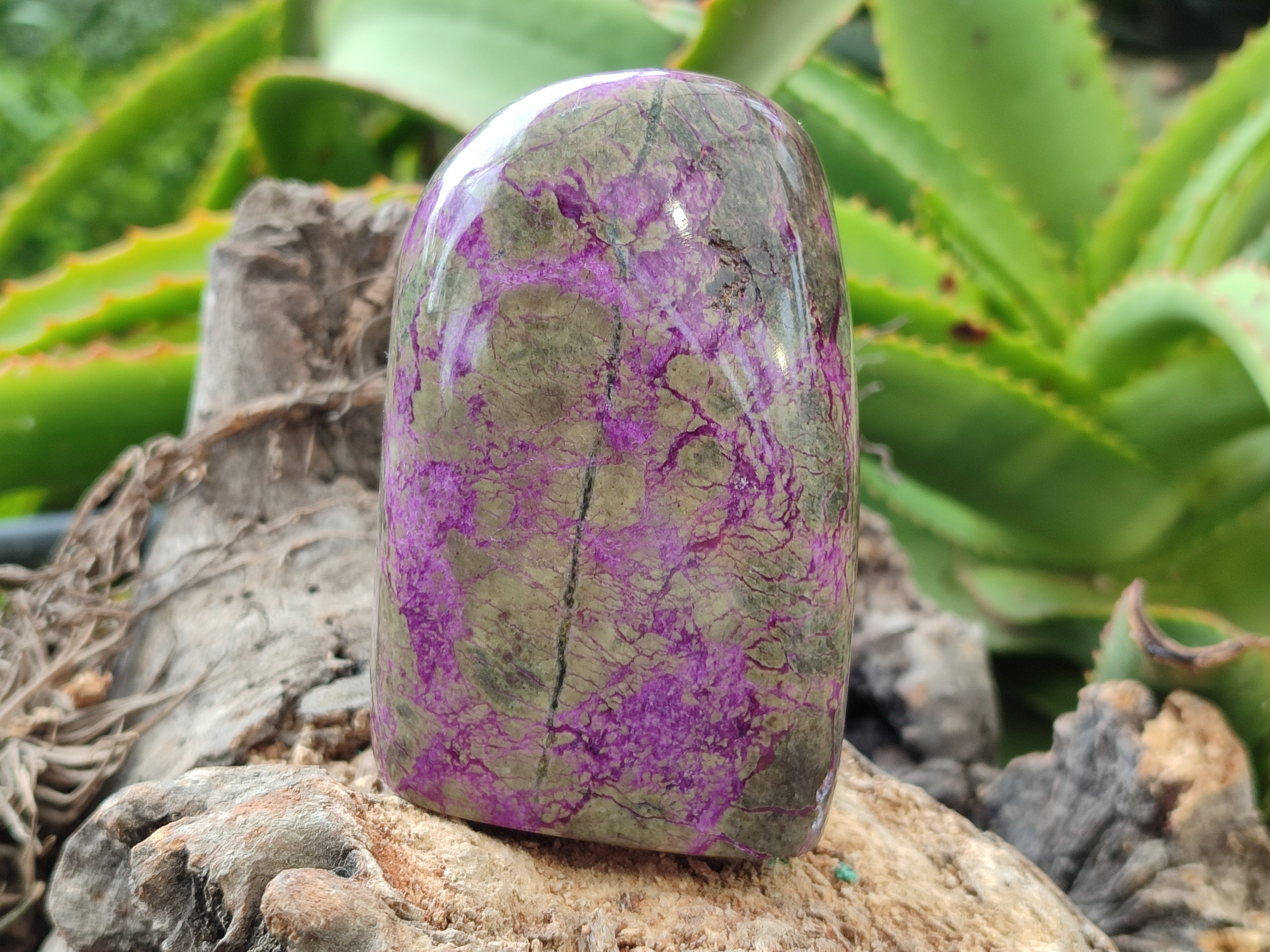 Polished Stichtite Standing Free Forms x 3 From Barberton, South Africa - Toprock Gemstones and Minerals 