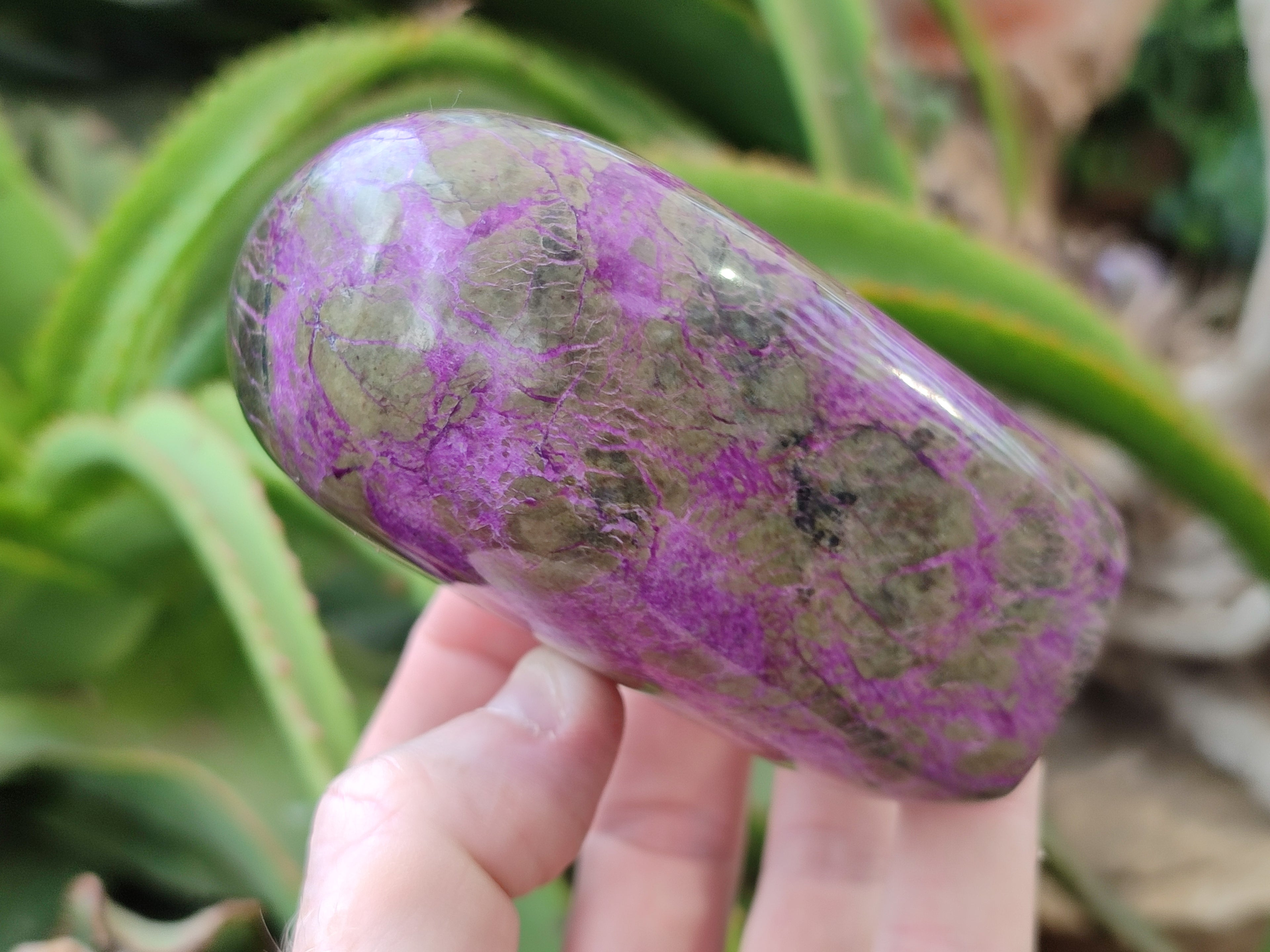 Polished Stichtite Standing Free Forms x 3 From Barberton, South Africa - Toprock Gemstones and Minerals 