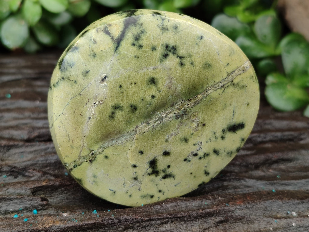 Polished Leopard Stone Free Forms x 8 From Zimbabwe - Toprock Gemstones and Minerals 